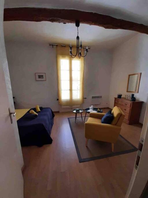 Historic French Townhouse Saint-Thibéry Exterior foto